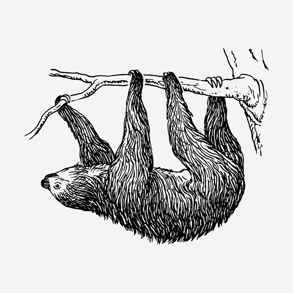 A sloth hanging from a tree branch - Sloth