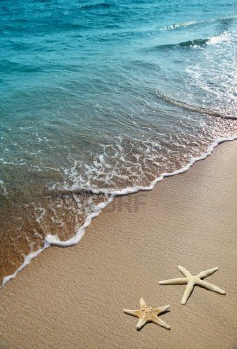 Two starfish on the beach - Starfish