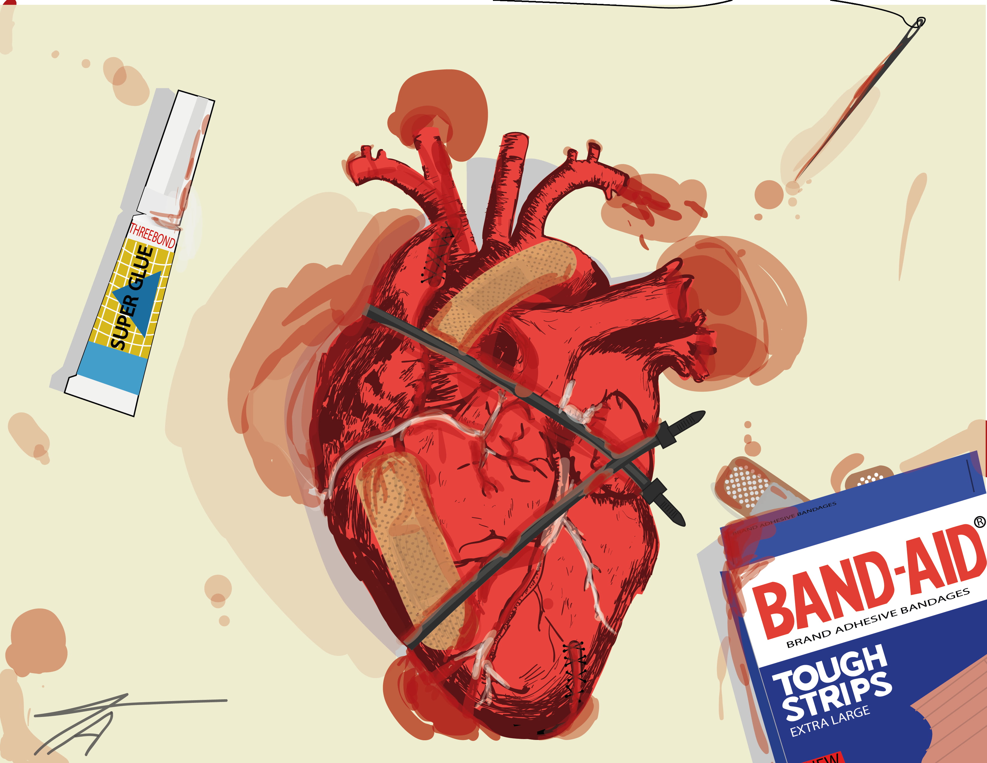 A heart is wrapped in bandages and has two sticks going through it. - Anatomy