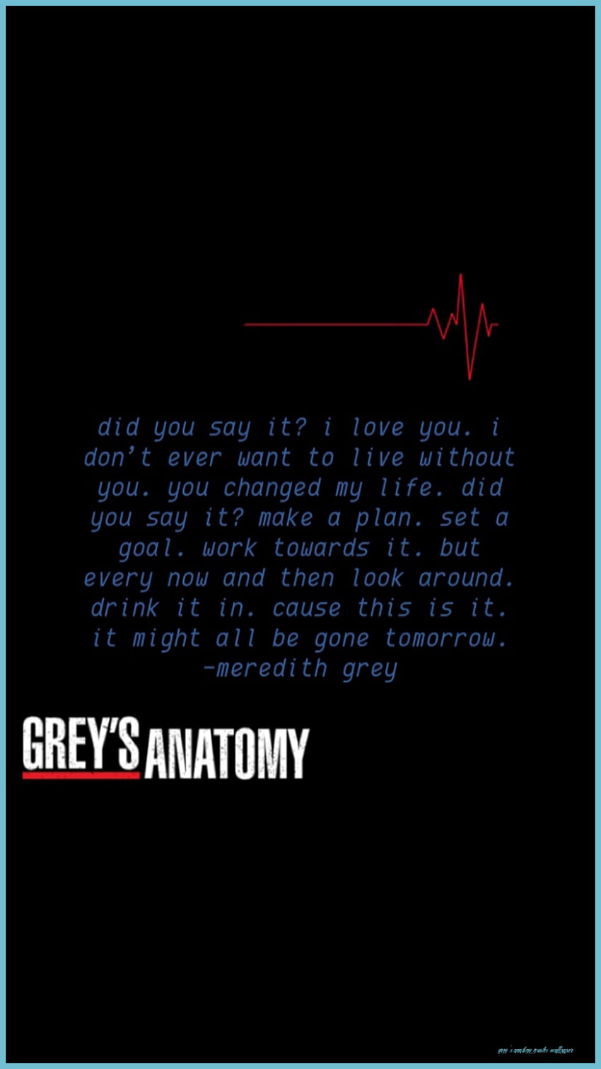 Greys anatomy quotes and sayings - Grey's Anatomy