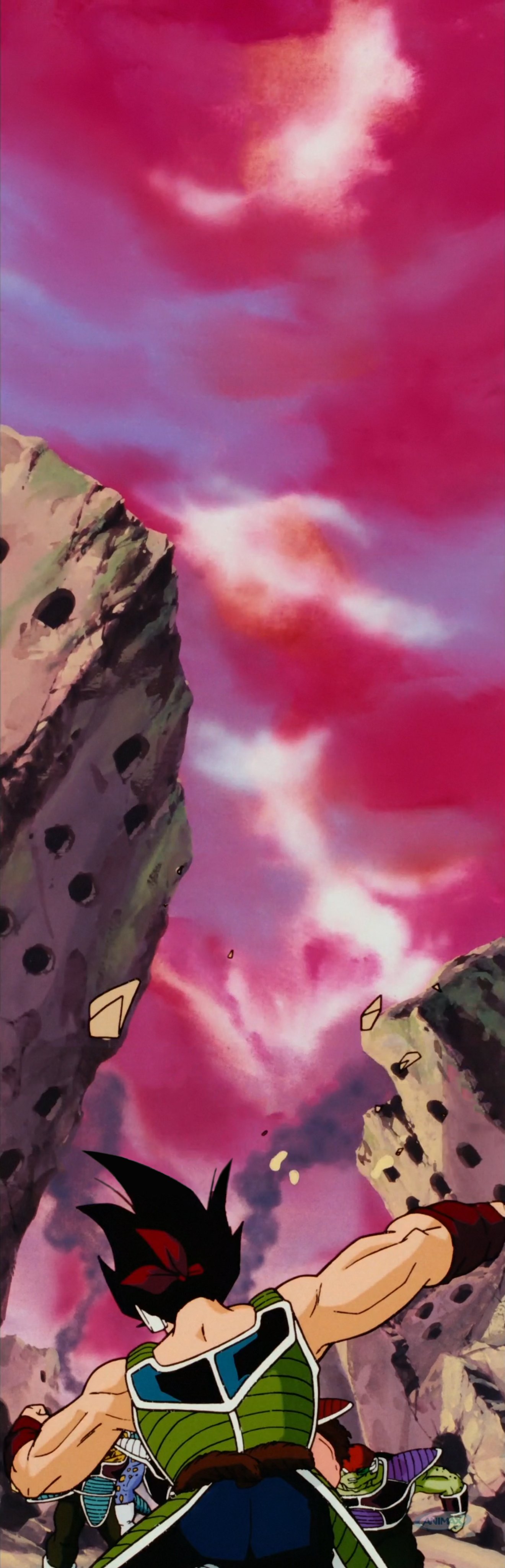 Bardock and Gohan in a battle against a pink sky - Dragon Ball