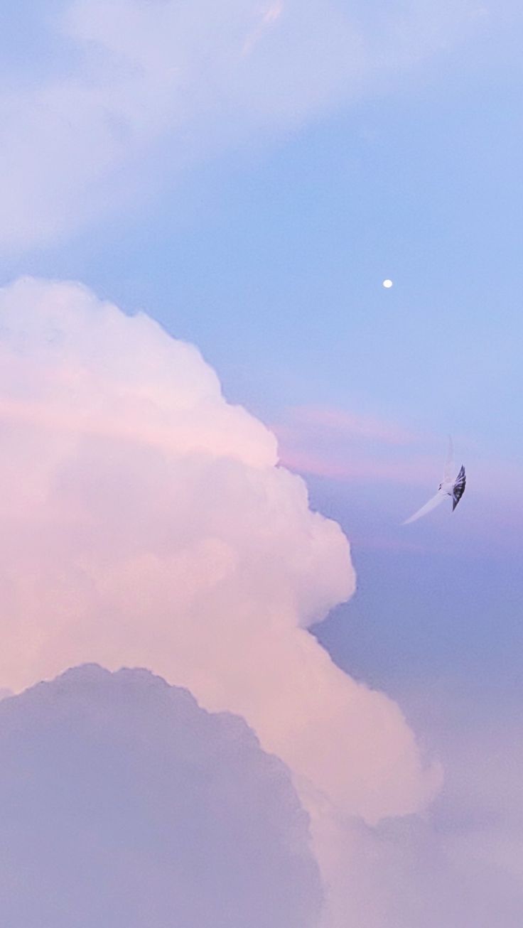 A kite flying in the sky with clouds - Profile picture, calming