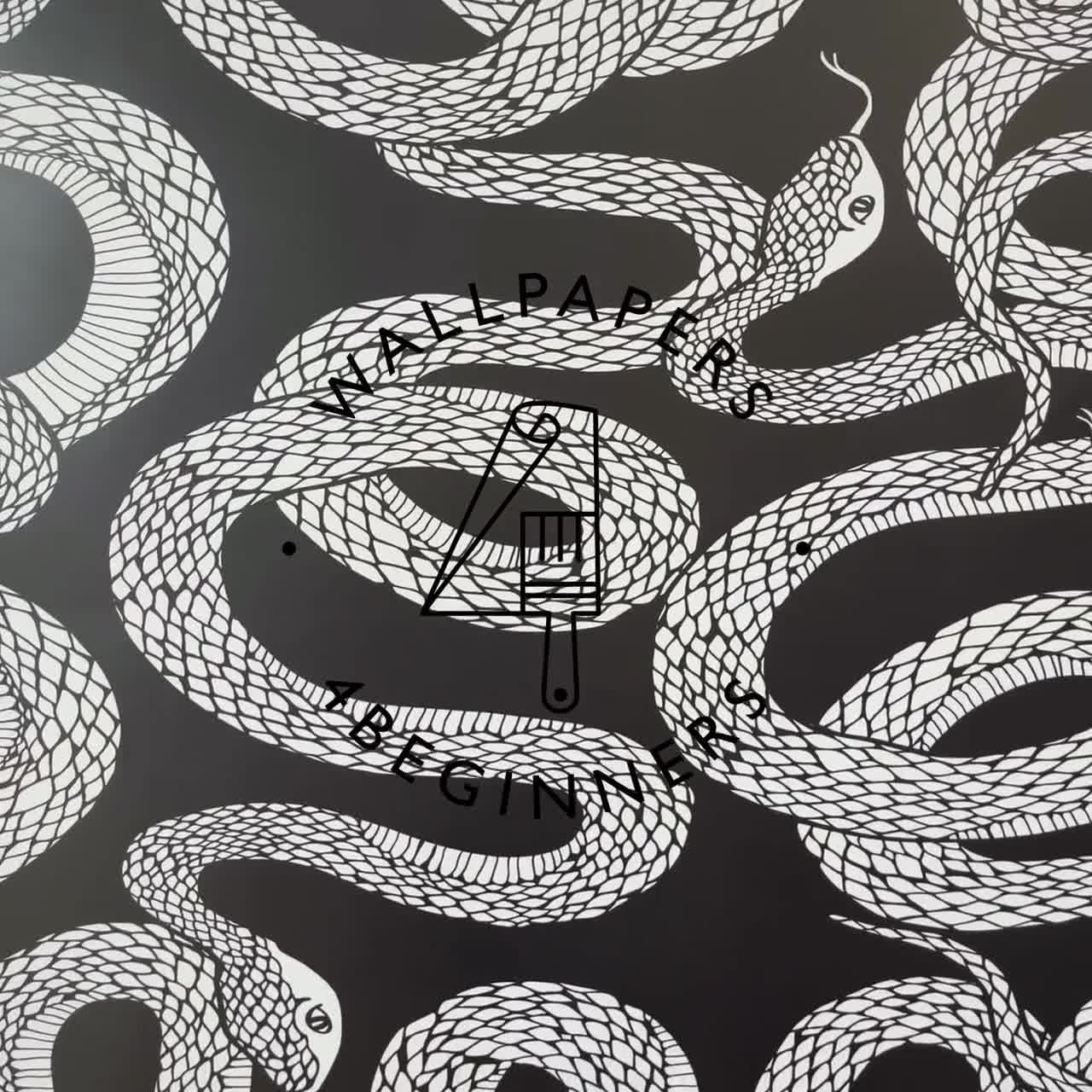 Black and White Snake Wallpaper Ouroboros Print Textured Wall