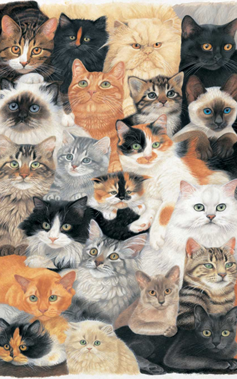 A painting of many cats in the same room - Doja Cat