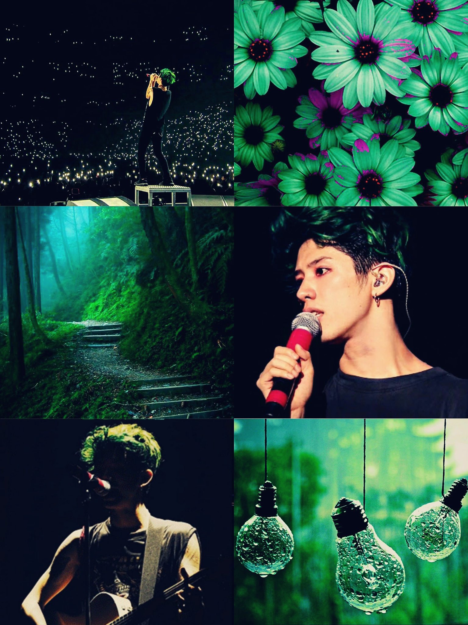 A collage of pictures with different people and flowers - Lime green
