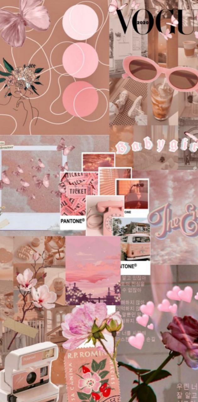 A collage of pictures with flowers and pink - Pink collage