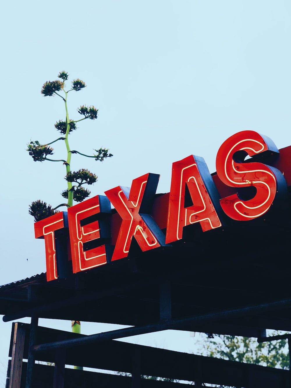 A neon sign that says texas - Texas