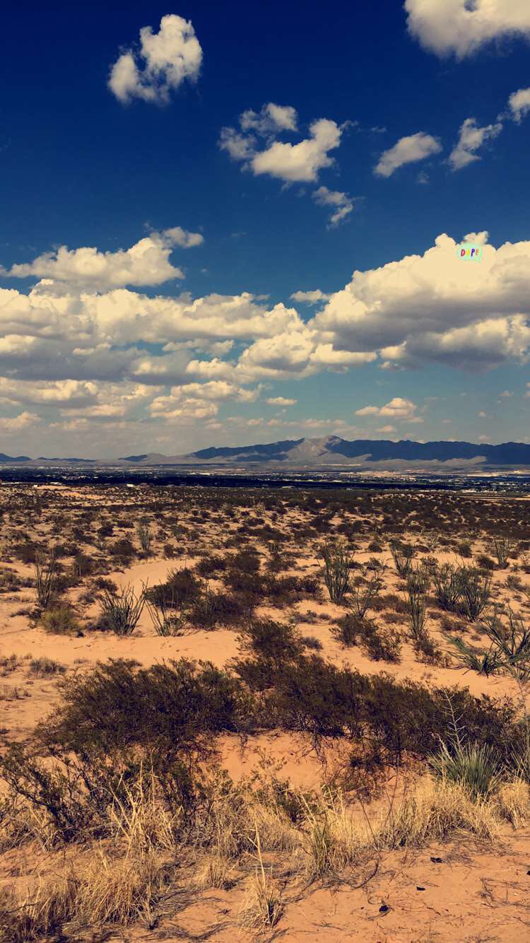 A desert landscape with a blue sky and white clouds. - Texas
