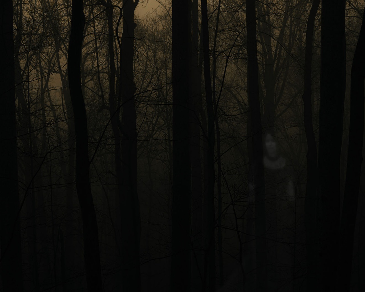 A person standing in the woods with fog - Woods
