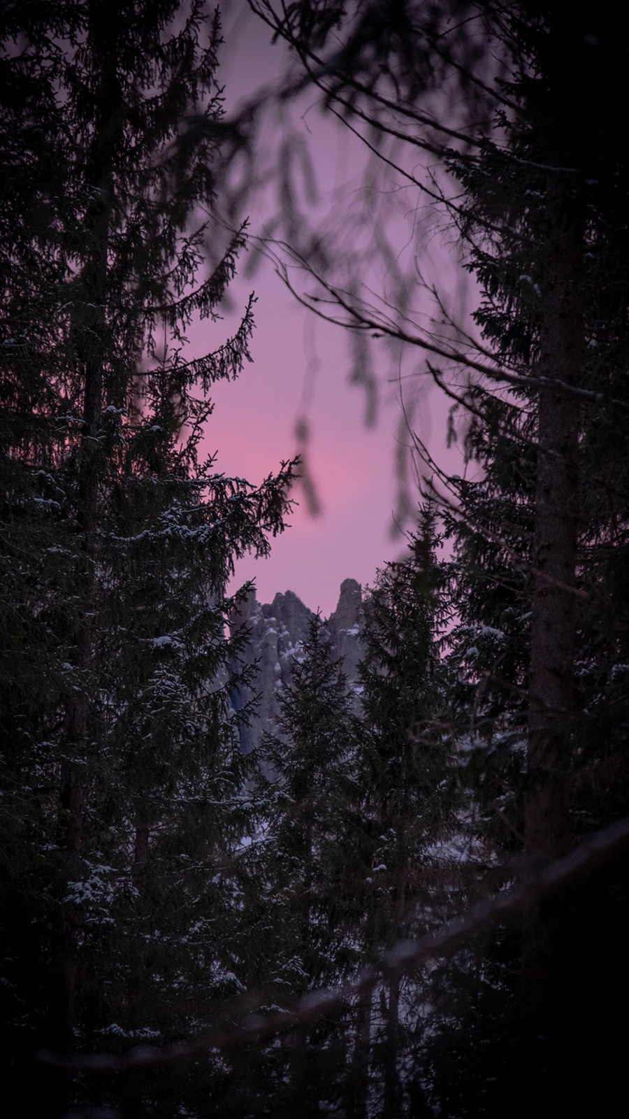 IPhone wallpaper of a pink sky and snow covered trees - Woods