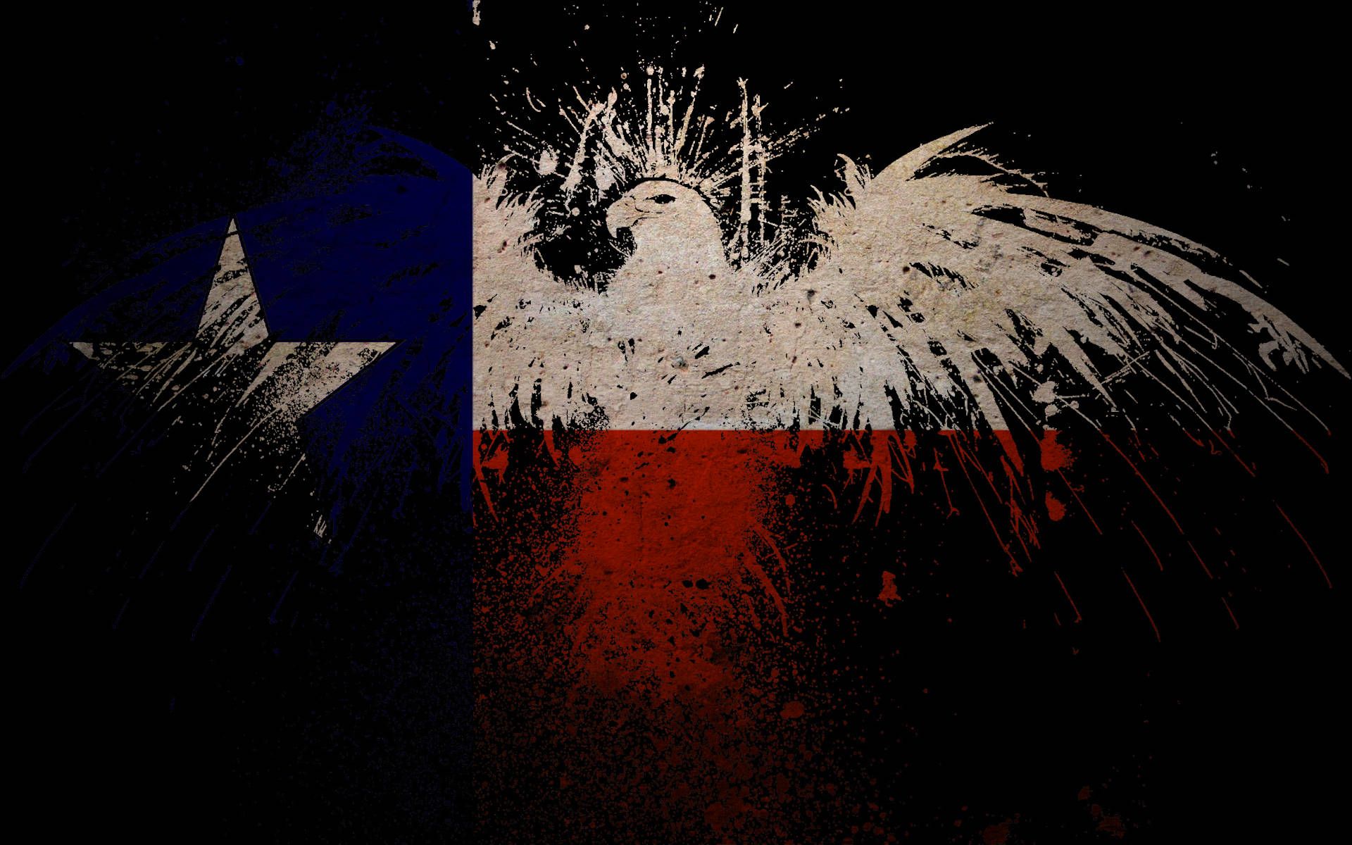A flag with an eagle and star on it - Texas