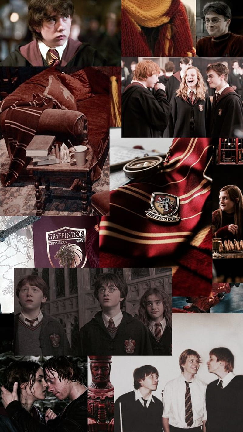 A collage of Harry Potter characters and items, including the Gryffindor scarf, Harry, and Hermione. - Harry Potter, Gryffindor