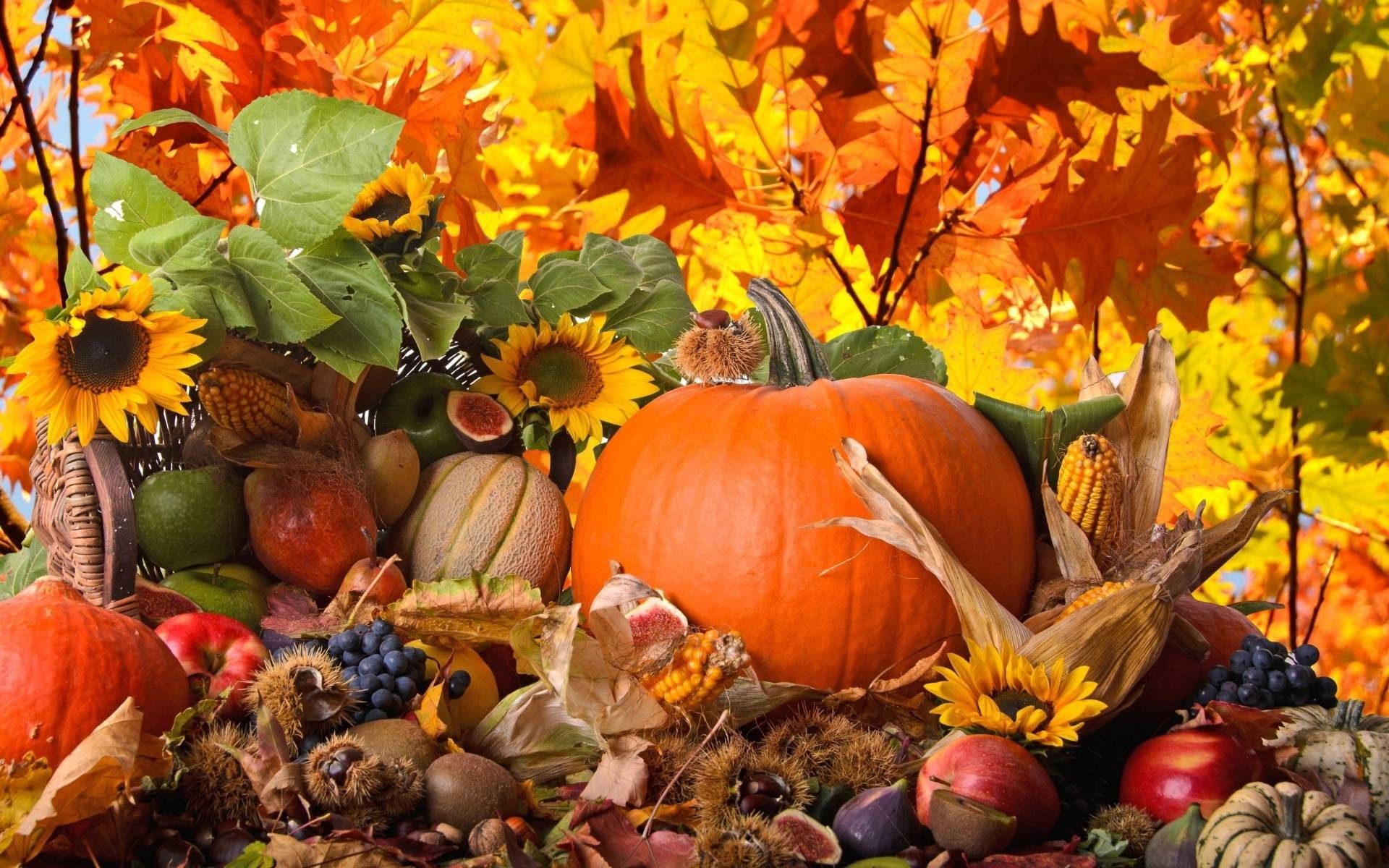 A pile of fruits and vegetables with fall leaves - Thanksgiving