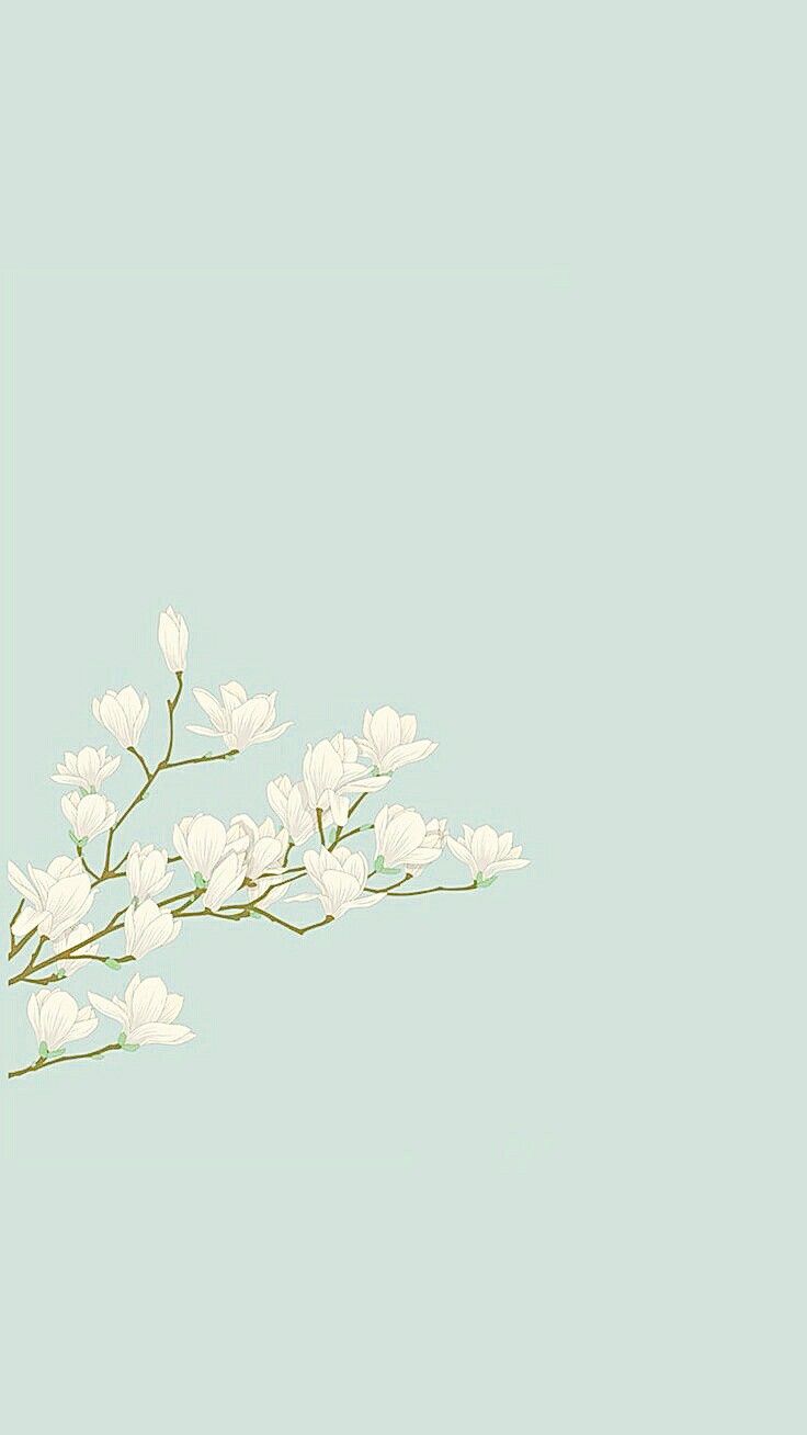 A white flower branch with leaves on it - Teal