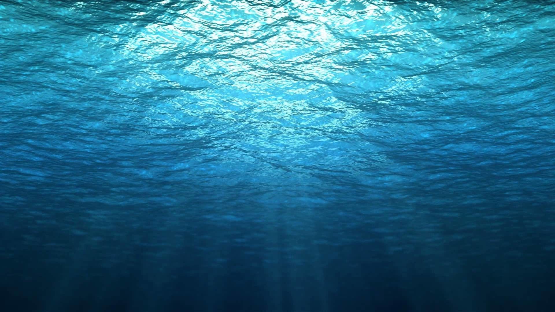 An underwater scene with sunlight shining through - Underwater