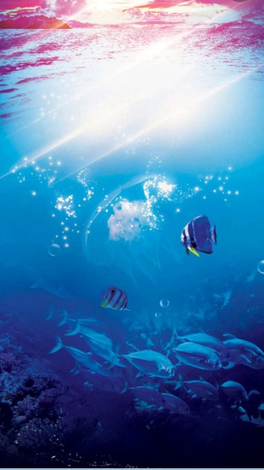 Underwater scenery with fish and sun rays. - Underwater