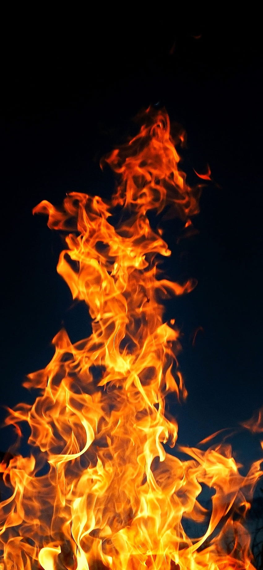 A close up of a fire with a black background - Fire