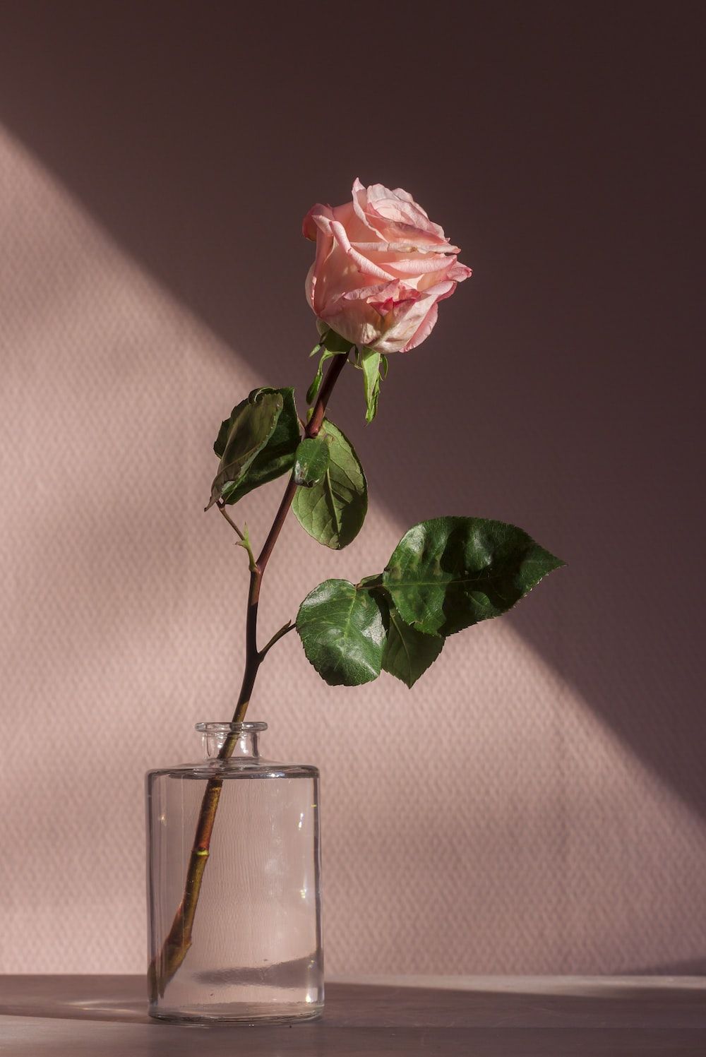 A single rose in vase on table - Warm, flower, roses