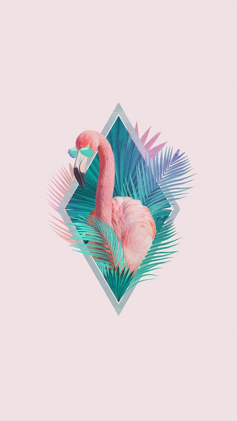 A flamingo in the jungle - Flamingo