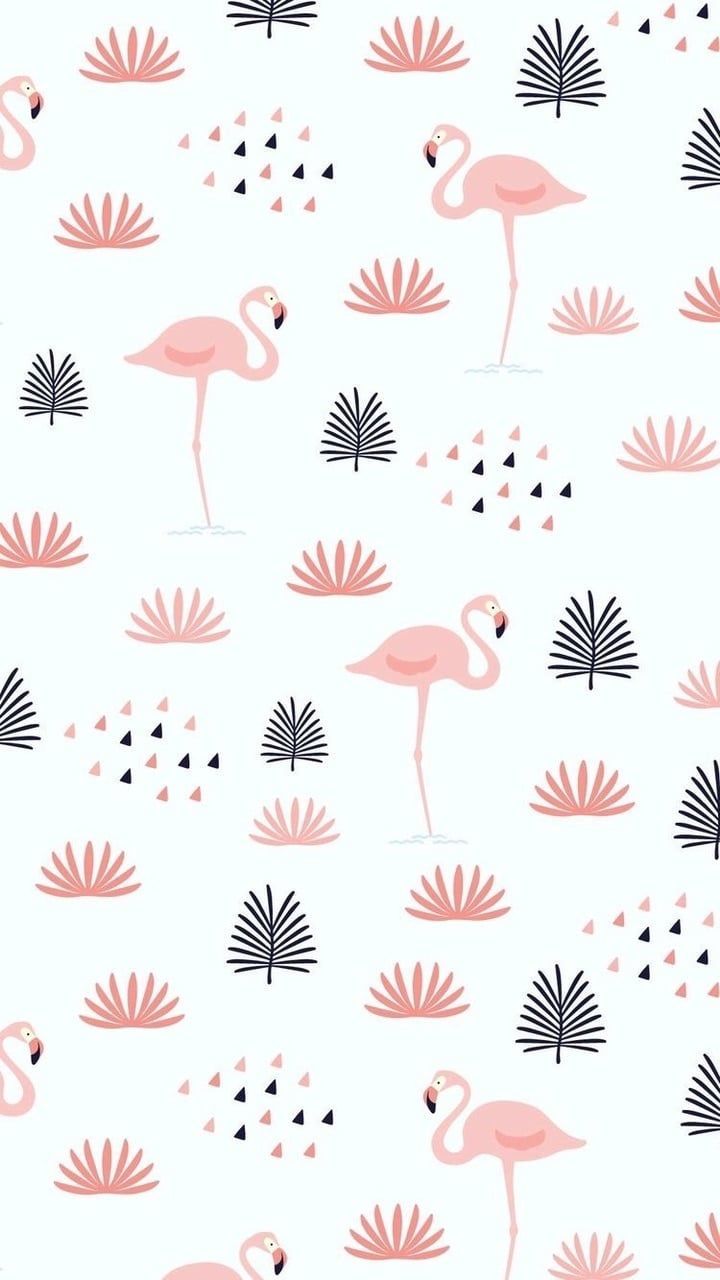 Cute Flamingo Wallpaper