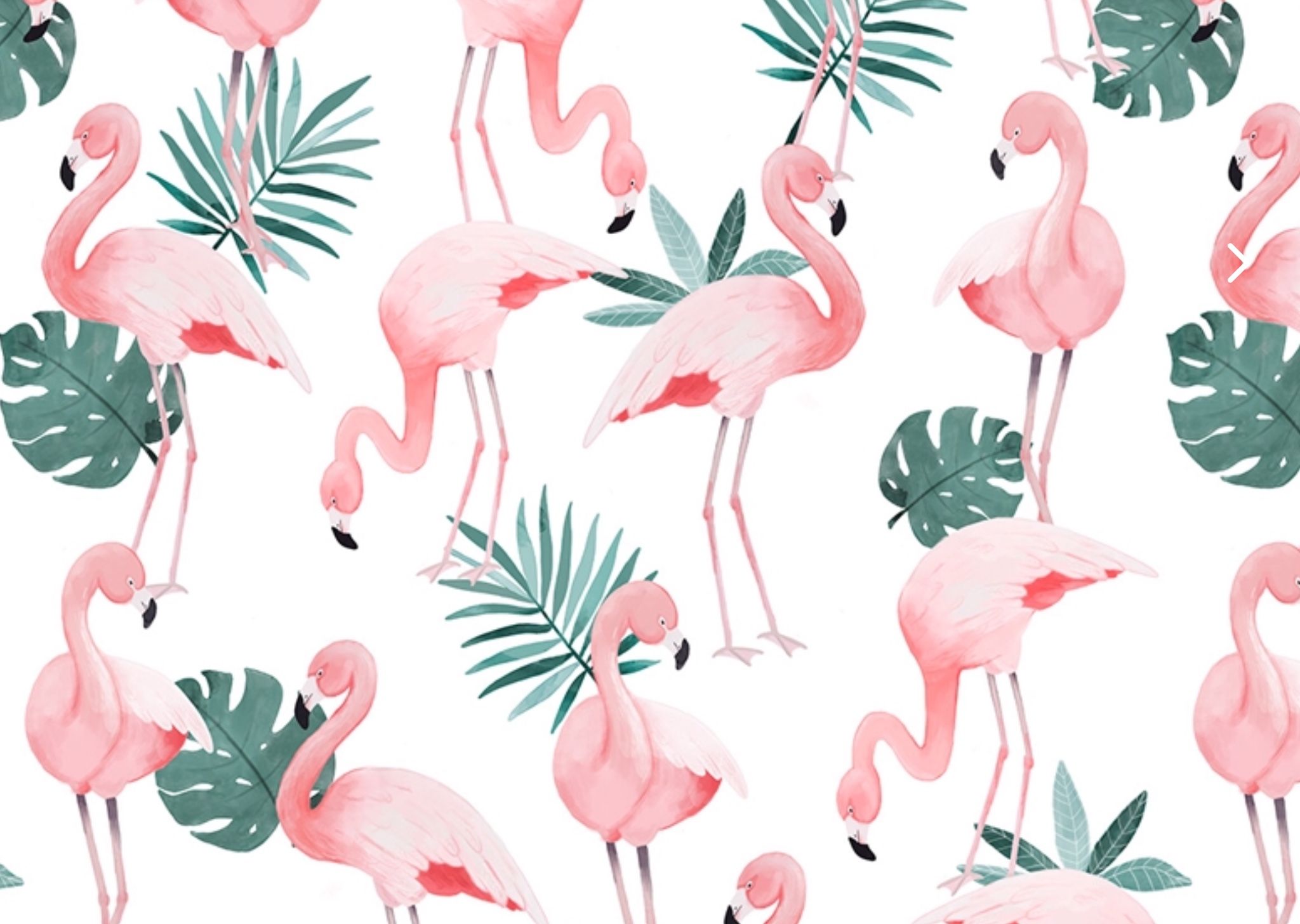 A pattern of flamingos and tropical leaves - Flamingo