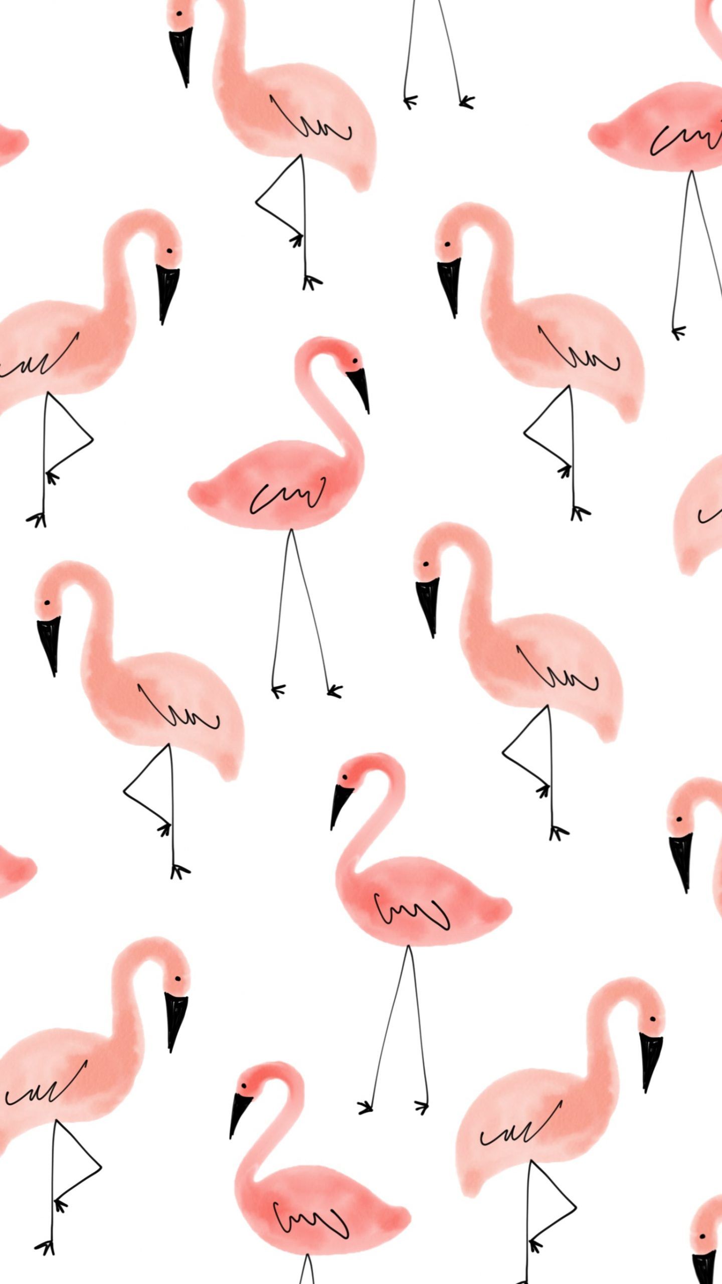 A pattern of pink flamingos on white background - Flamingo