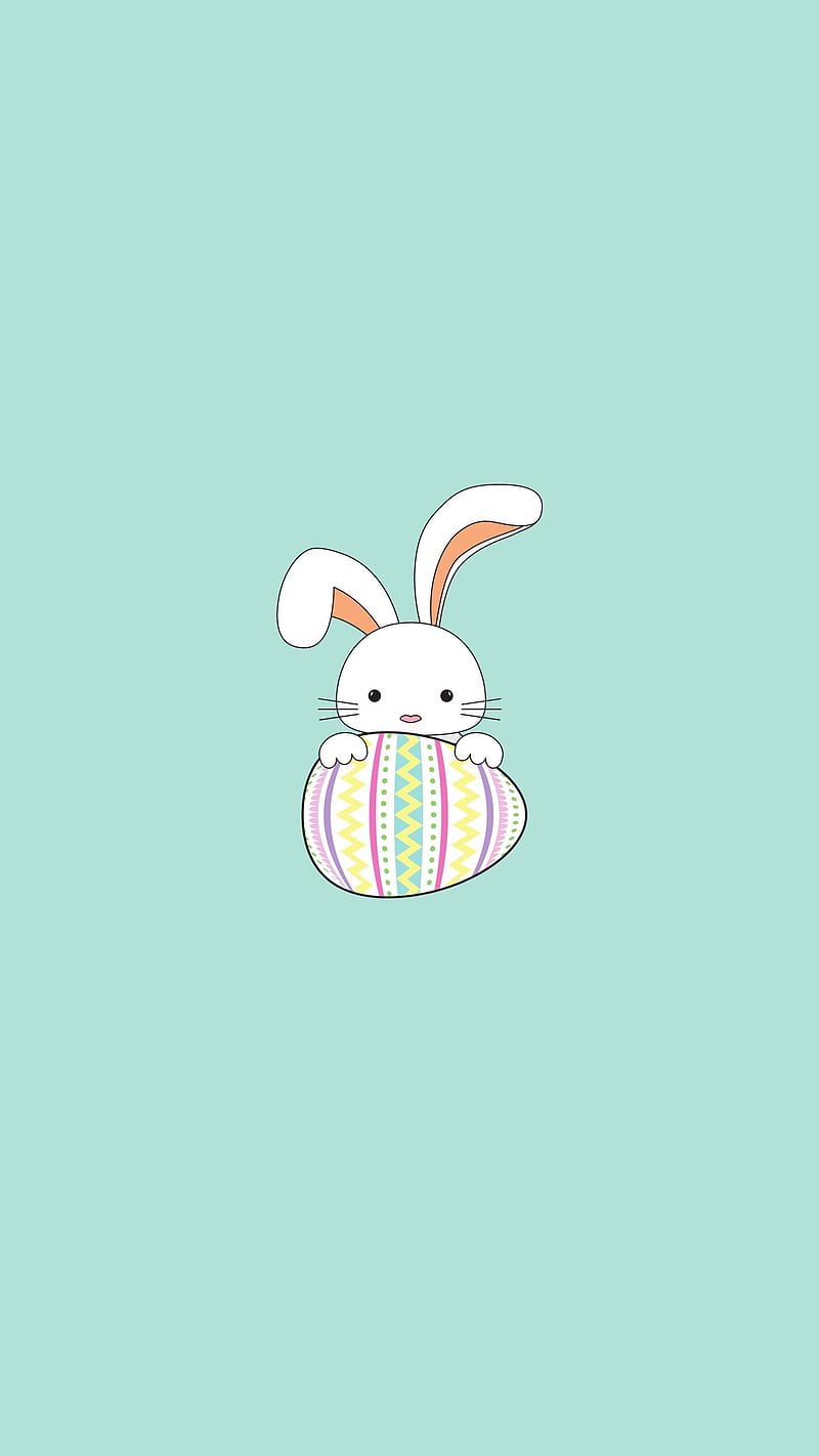 Cute Bunny, adorable funny bunnies, aesthetic bunny rabbit, easter egg gift, HD phone wallpaper