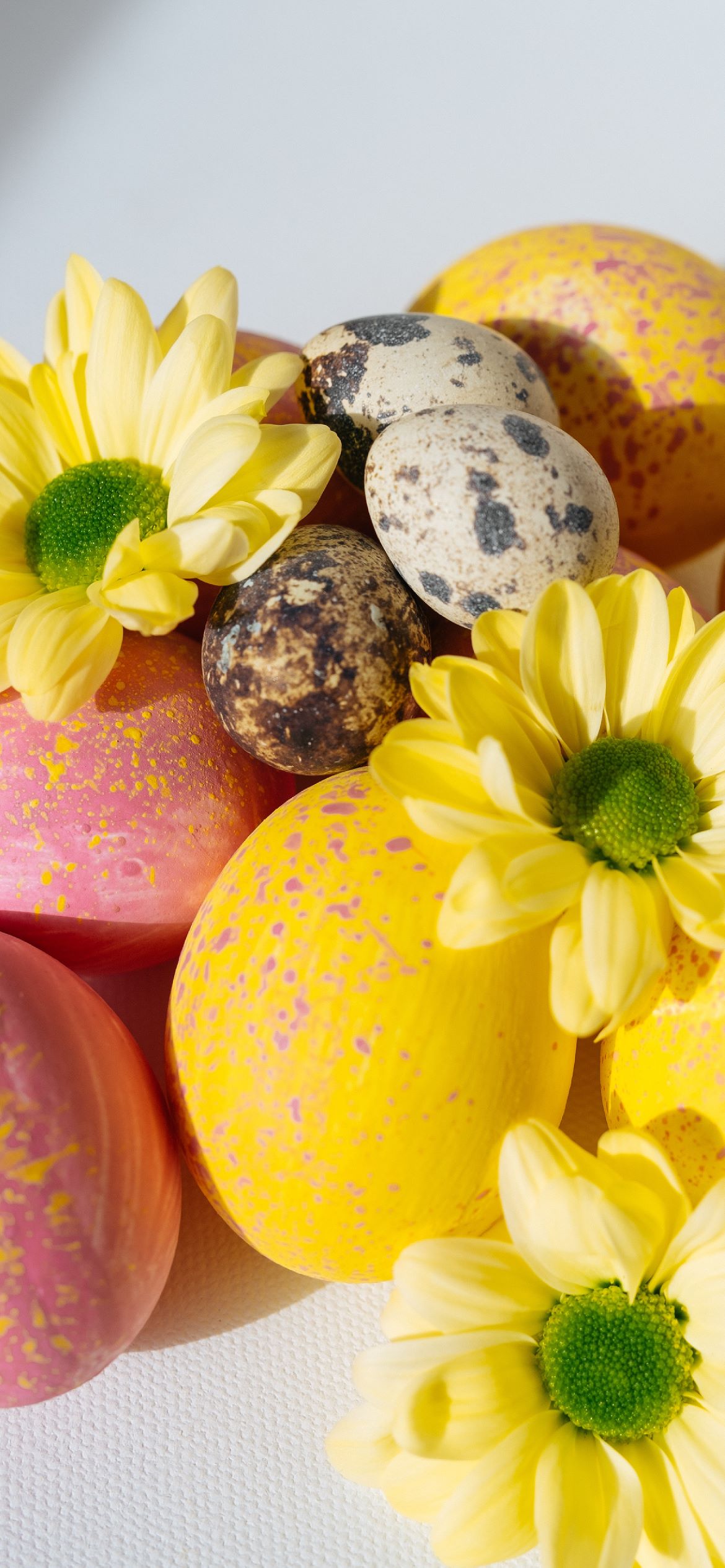 Yellow and pink Easter eggs with flowers on a white table. - Easter