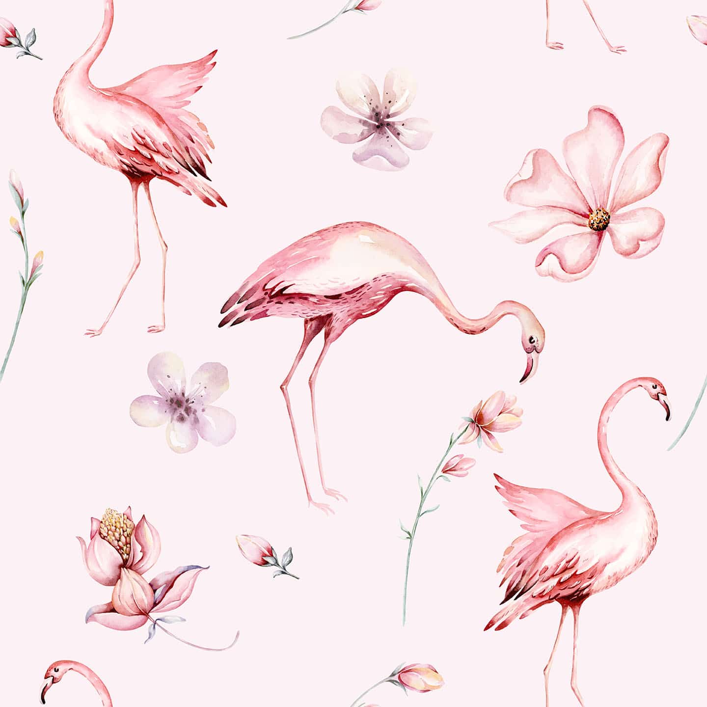 Aesthetic Flamingo Wallpaper And Stick Or Non Pasted