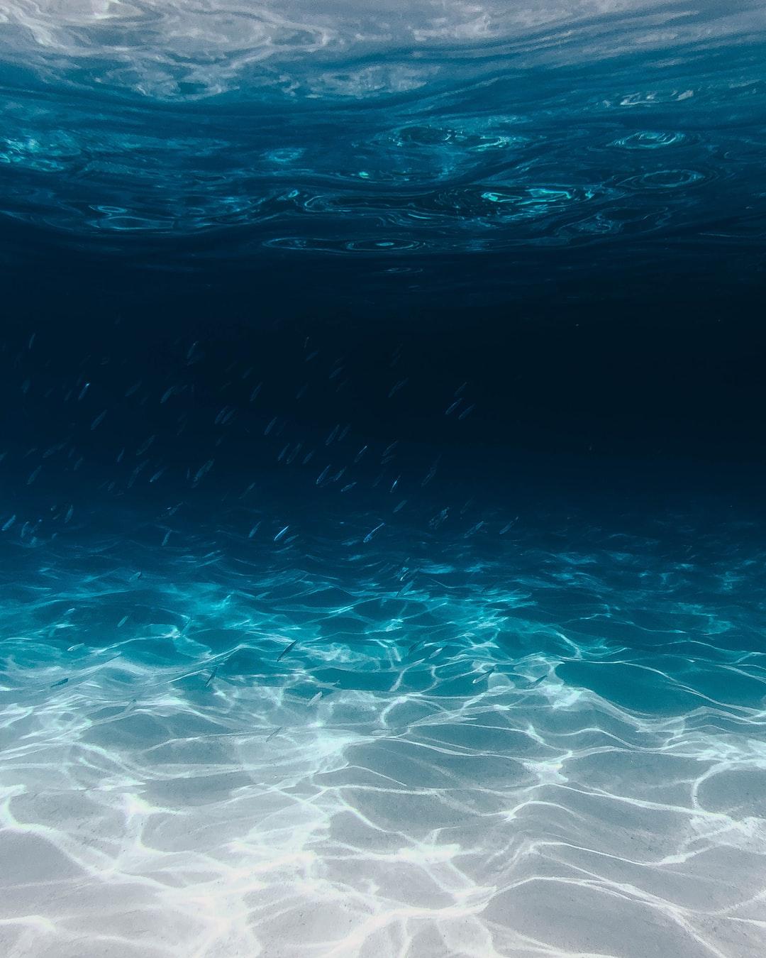 Underwater view of the ocean floor with sand and fish. - Water, underwater, ocean