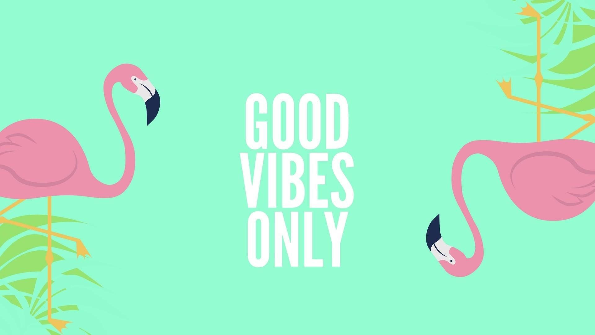 Download Good Vibes Only With Flamingo Wallpaper
