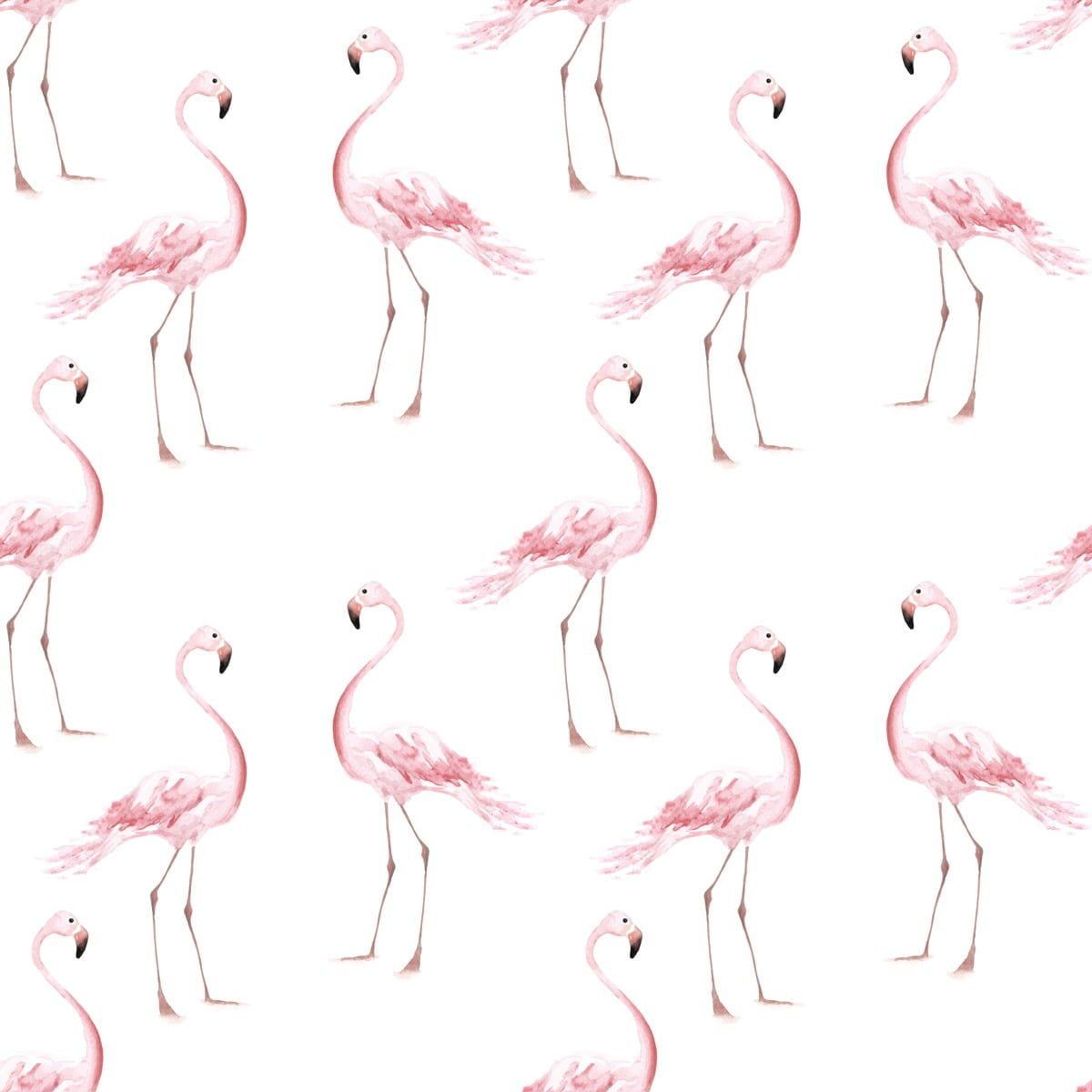 Flamingos Wallpaper Sample.com Wallstickers And Wallpaper Online Store
