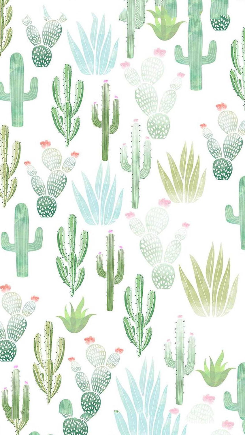 Aesthetic cactus HD phone wallpaper