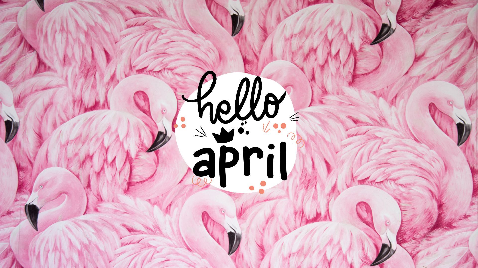 Flamingo wallpaper for April with the words hello April in the middle - Flamingo, April