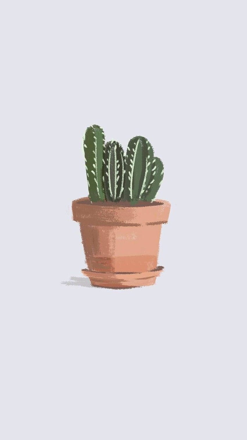 Clairesmith on in 2019. Cute, Aesthetic Cactus HD phone wallpaper