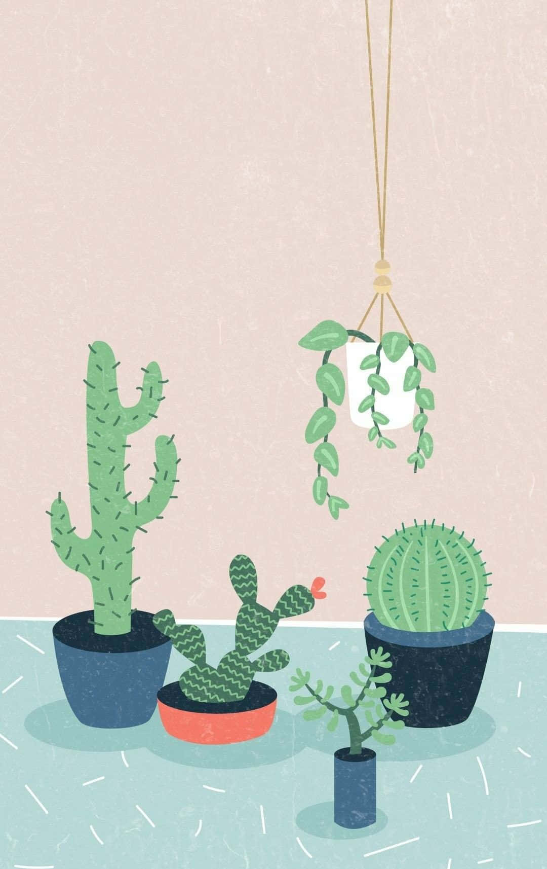 Download Aesthetic Cactus Wallpaper