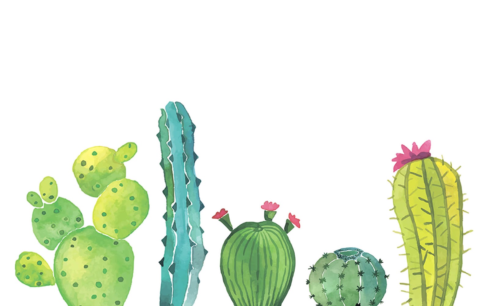 Free download Cactus Wallpaper and Background Image stmednet [1600x1001] for your Desktop, Mobile & Tablet. Explore Cactus Wallpaper. Cactus Wallpaper, Cactus Wallpaper Border, Cactus Wallpaper Background