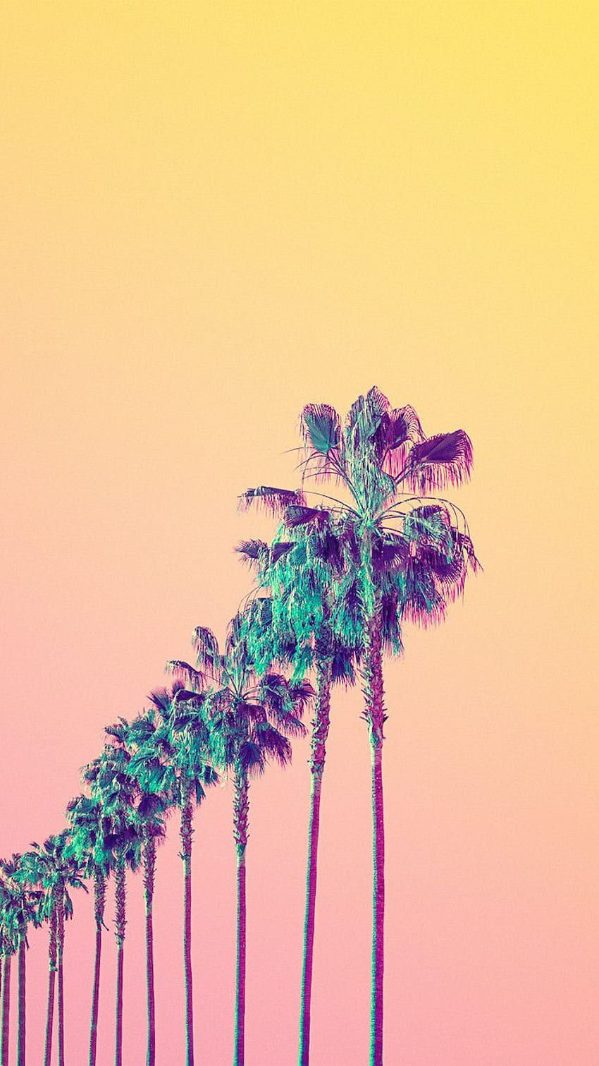 Aesthetic image of a row of palm trees with a pastel color gradient. - Palm tree, sky