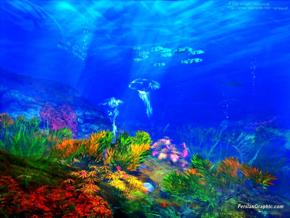 A colorful underwater scene with fish and plants - Underwater