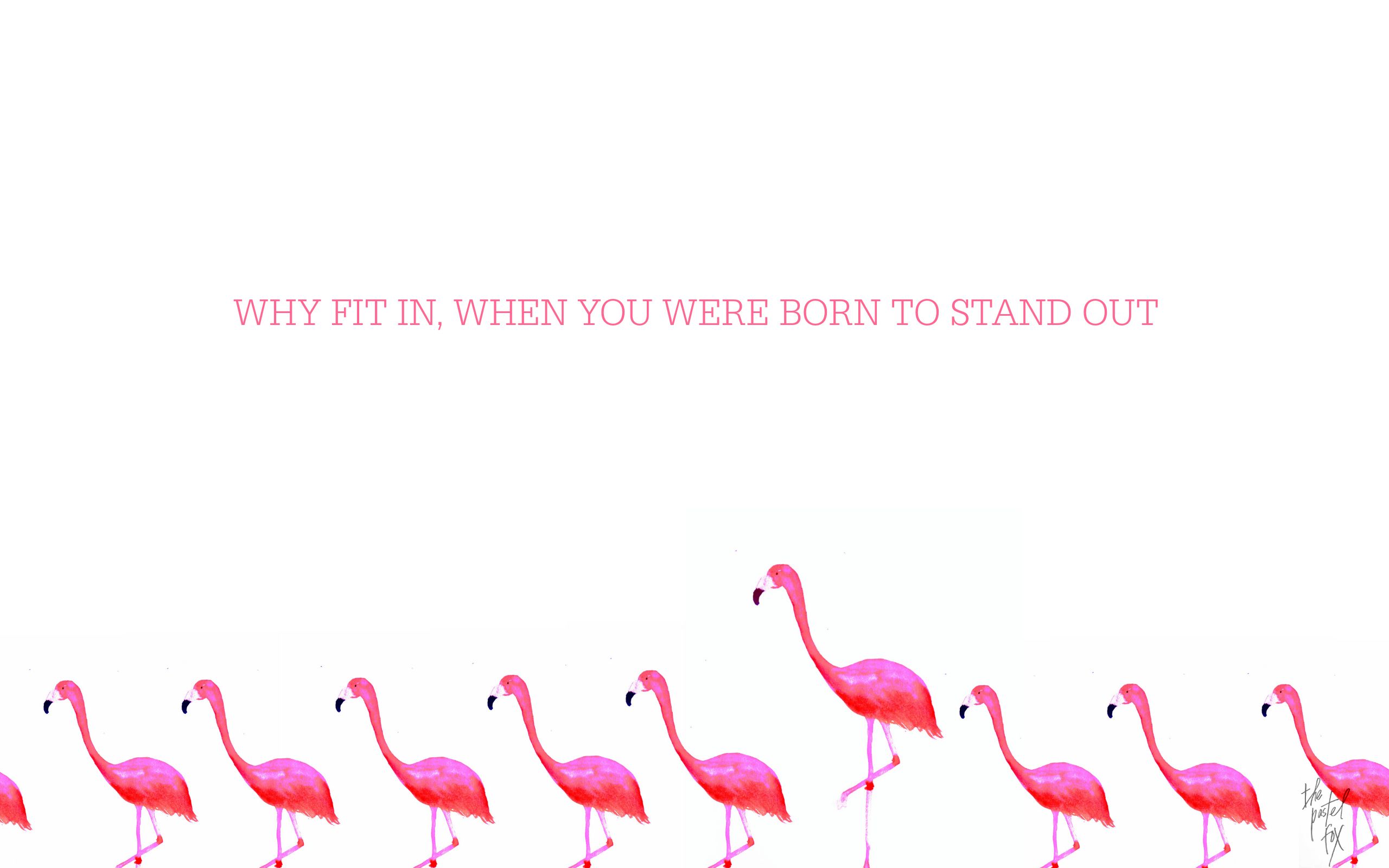 Free Download Flamingo Wallpaper