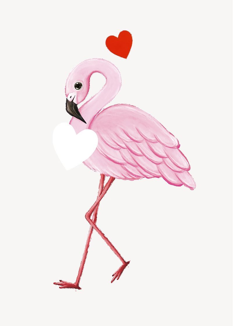 Pink Flamingo Image Wallpaper