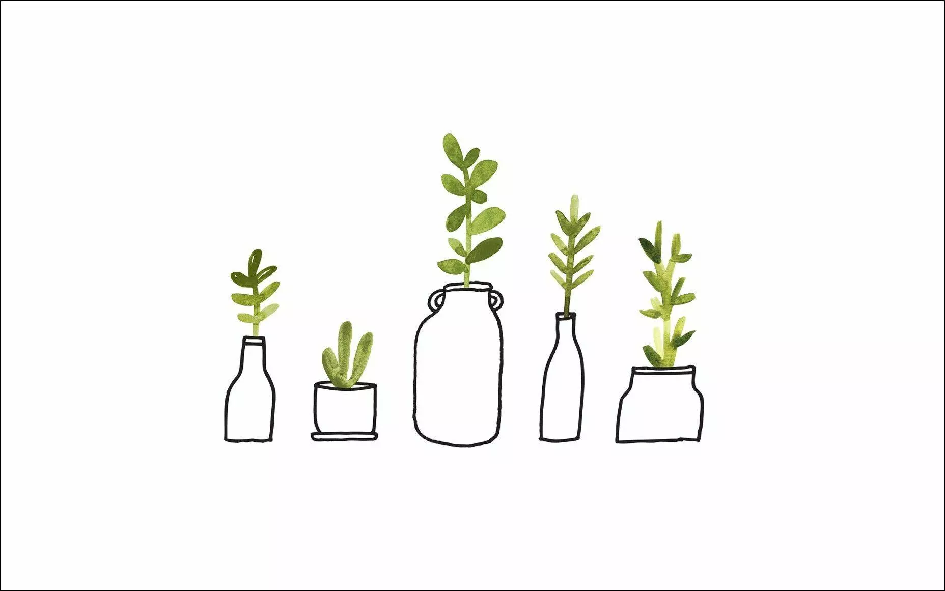 An illustration of 5 potted plants on a white background - Plants