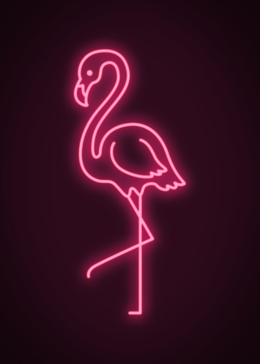 Neon Pink Flamingo Wallpaper Free Neon Pink Flamingo Background