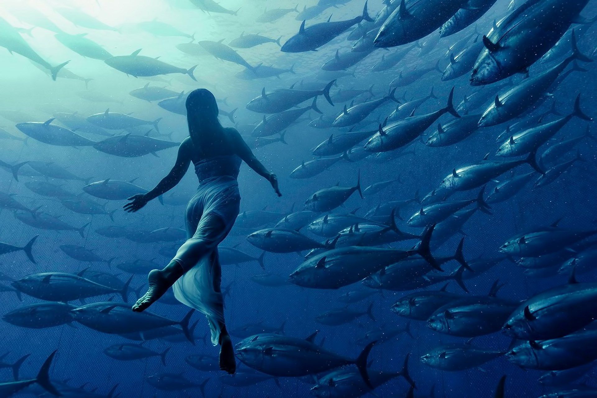 A woman swimming with a school of fish - Underwater