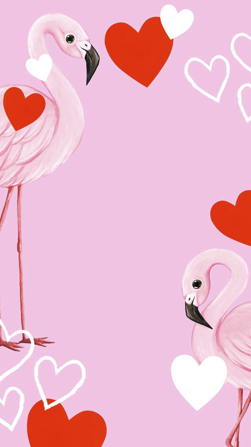 A pink background with two flamingos and hearts - Flamingo