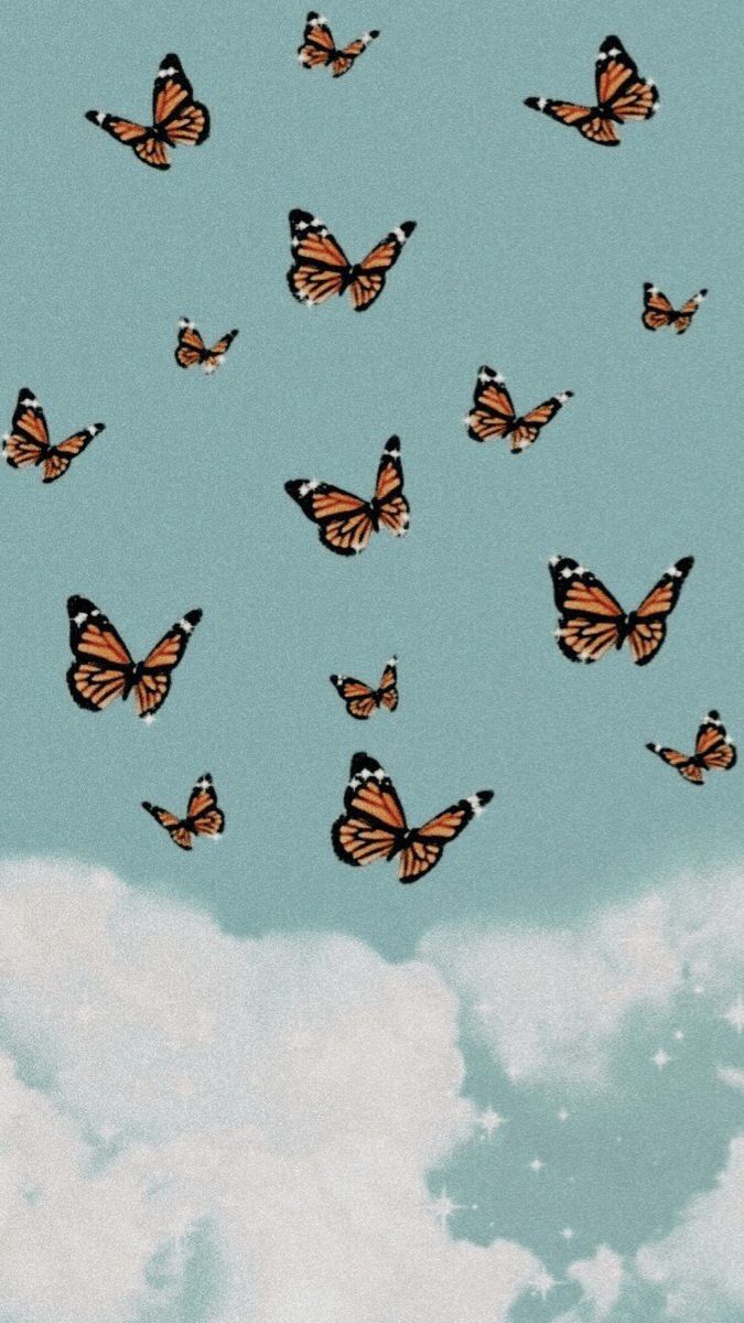 A group of butterflies flying in the sky - VSCO
