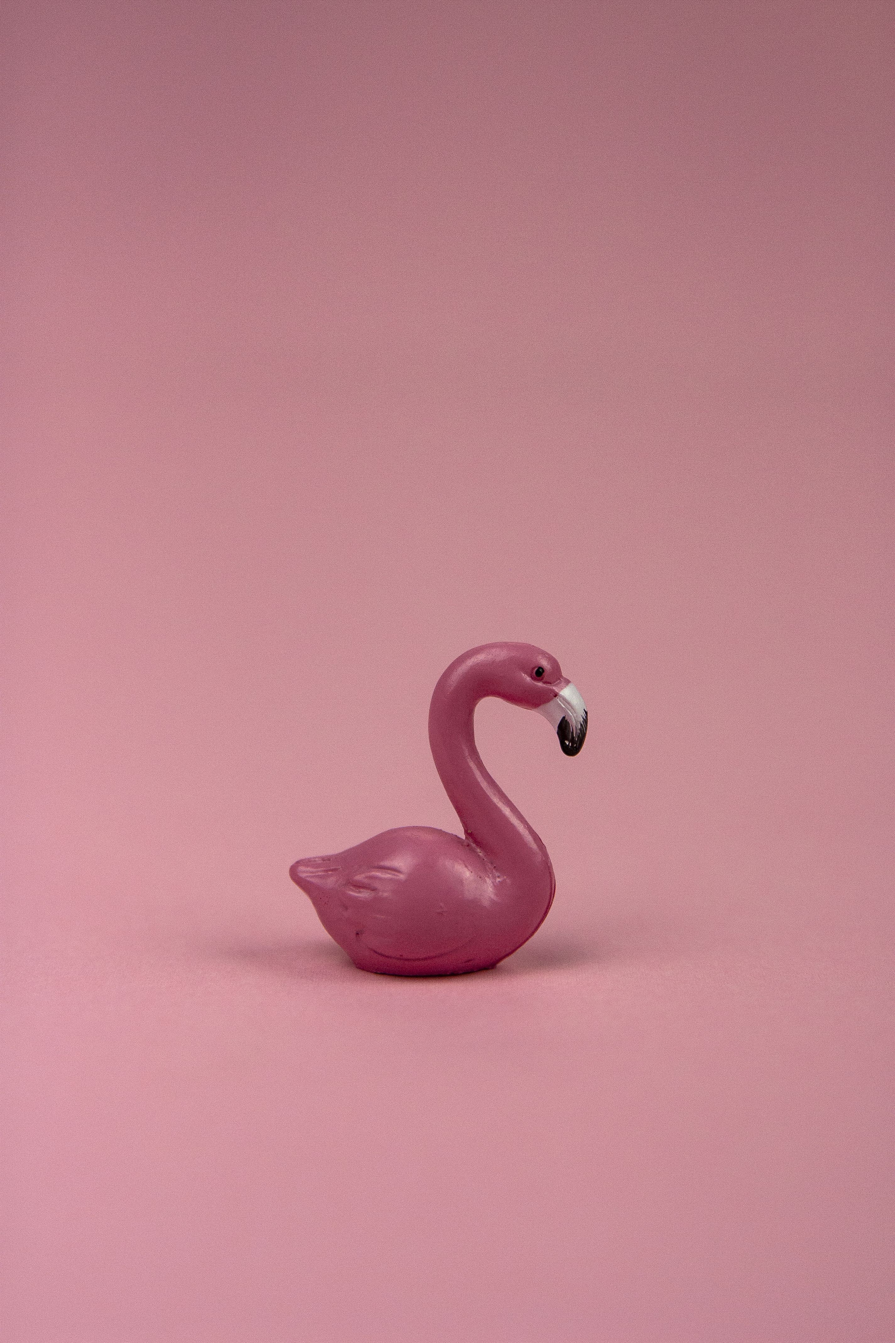 A Pink Flamingo Figurine · Free