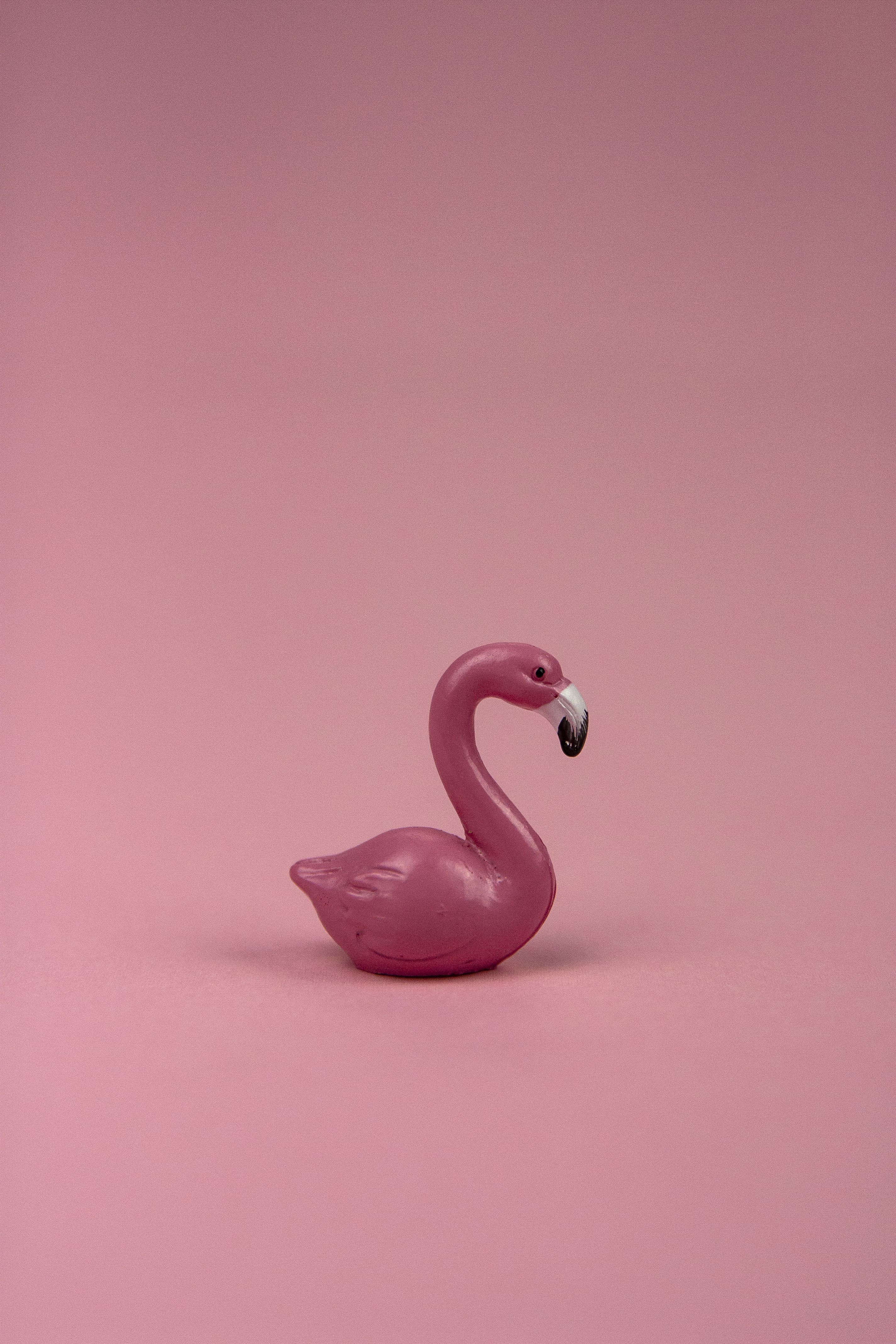 A pink flamingo figurine on a pink background - Flamingo