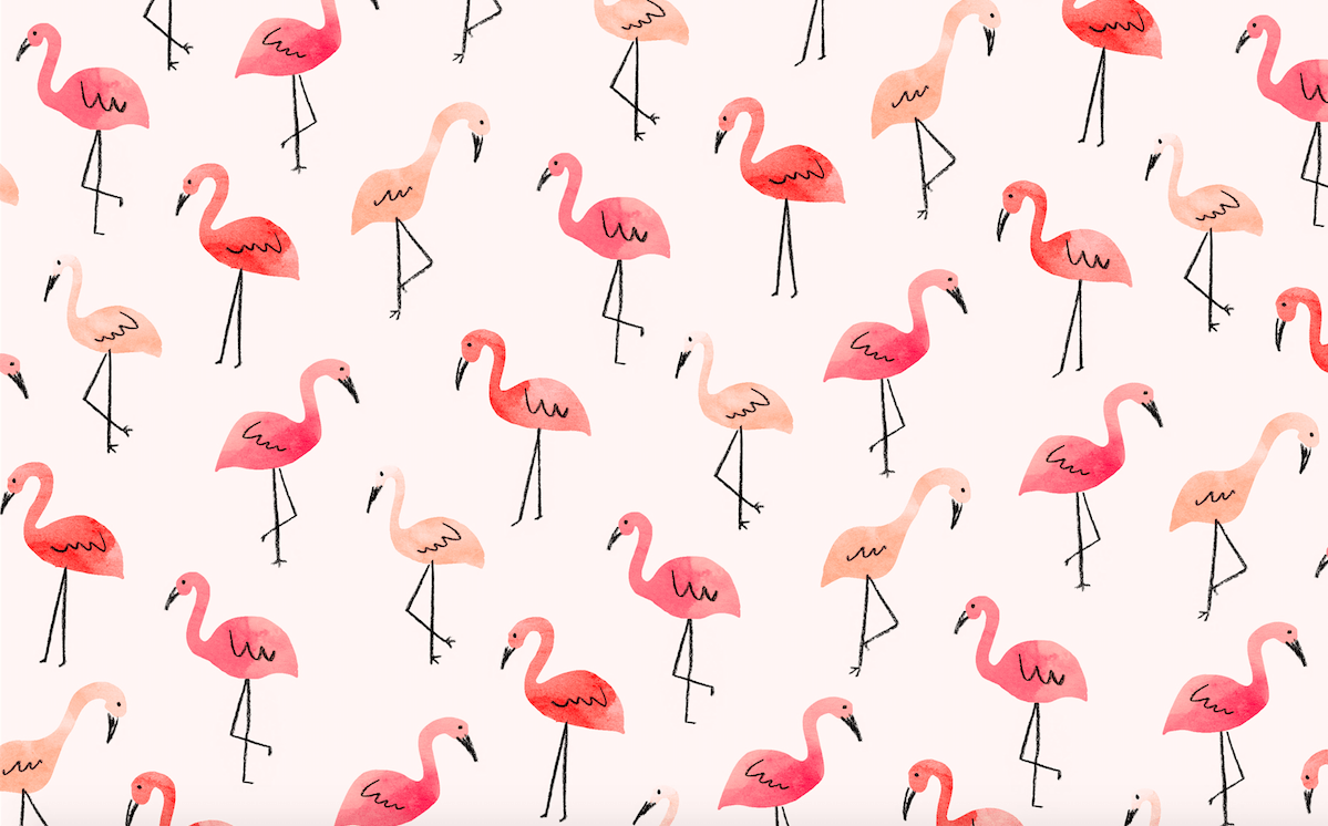 A pattern of pink flamingos on white background - Flamingo