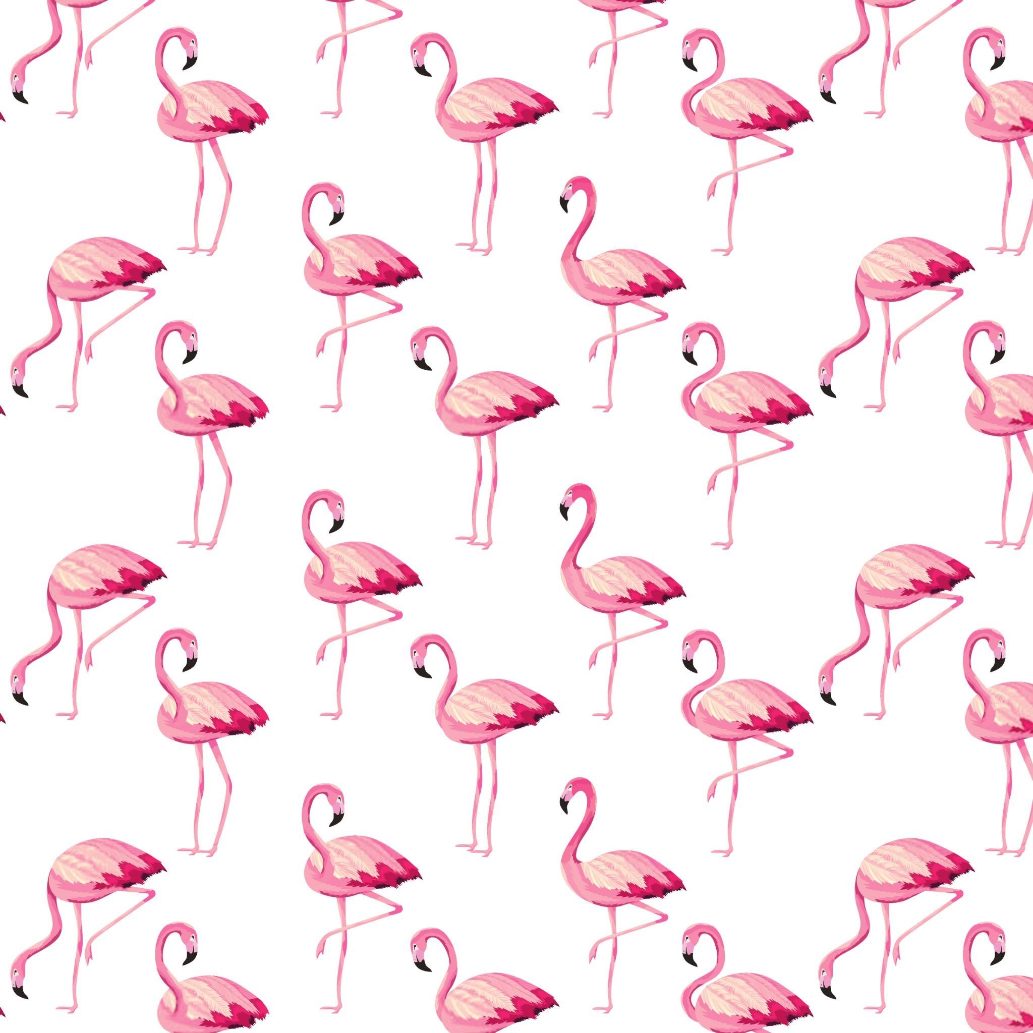 Flamingo Collection Cases